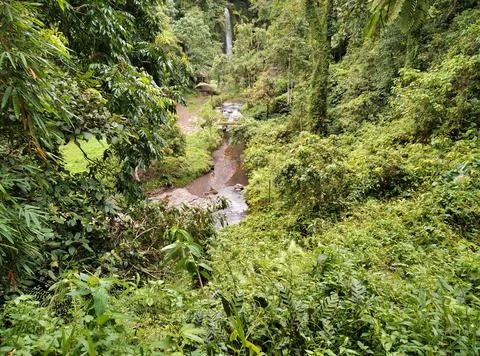 Air terjun.  Stock Photos