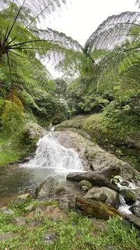 Air terjun Stockfoto's