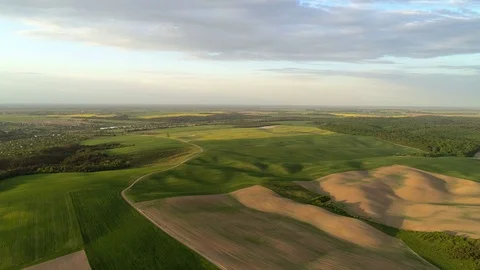 Air view on colored fields and forests Video stock 89654956