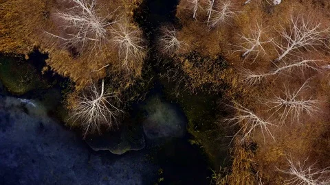 Air view of the island in the form of a bear in the middle of the pond. Stock Footage 107901607