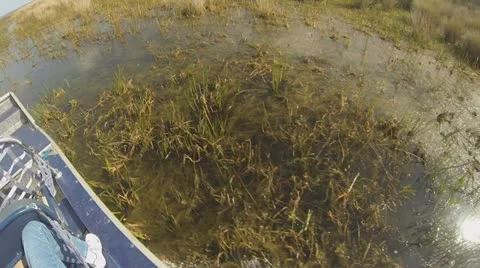 Airboat Adventure Part 11 Stock Footage