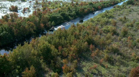 Airboat Chase Video stock 775886