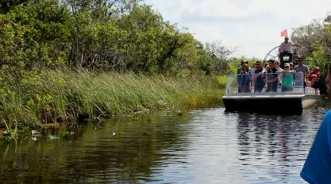 Airboat in Everglades Stock Footage 21764080