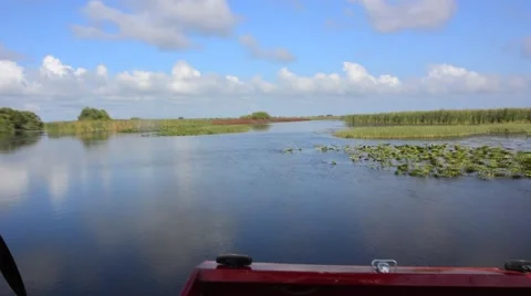 Airboat on the Everglades Stock Footage 63781529