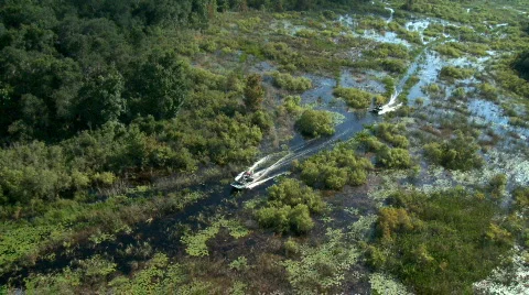 Airboat 動画素材 775925