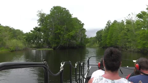 Airboat Ride through swamp Stock Footage 136540341