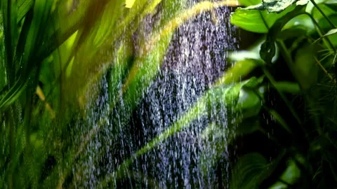 Airbubbles in aquarium Stock Footage 101285695