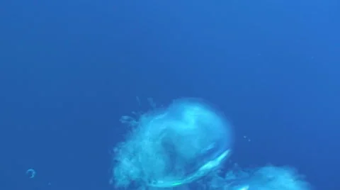 Airbubbles passing, in front of blue water Stock Footage 43211366