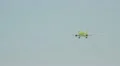 Airbus 319 company S7, landing in the airport HD Footage