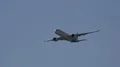 Airbus A350 XWB airplane fly over in sunny blue sky 4k or 4k+ Resolution