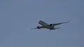 Airbus A350 XWB airplane fly over in sunny blue sky HD Footage