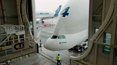 Airbus Beluga cargo plane pulls into hangar Stockbeeldmateriaal 166356276