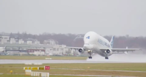 Airbus Beluga cargo plane taking off at Hamburg Finkenwerder Vídeo Stock 271211327
