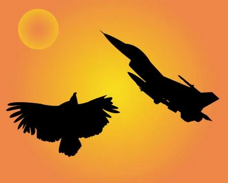 Aircraft and bird eagle Stock Illustration