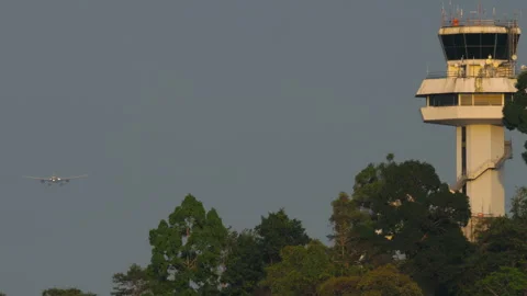 Aircraft approaching, long shot Stock Footage 314619300