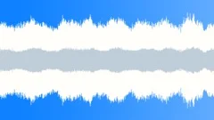 AIRCRAFT DOUGLAS DC3 1945 IDLE LOOP STEREO Sound Effect