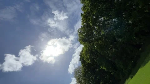 Aircraft flying over Amsterdam Forest park near Schiphol Airport, Netherlands Video stock 342758745
