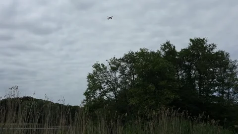 Aircraft flying over Amsterdam Forest park near Schiphol Airport, Netherlands Video stock 342758853