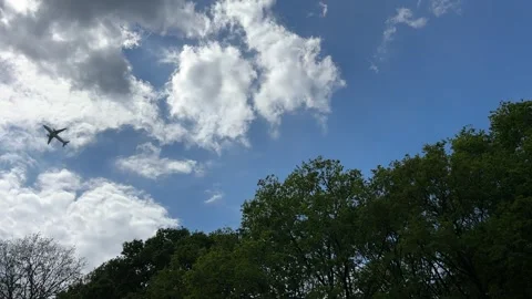 Aircraft flying over Amsterdam Forest park near Schiphol Airport, Netherlands Stock-Footage 342758997