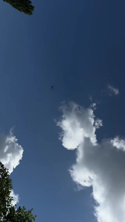 Aircraft flying over Amsterdam Forest park near Schiphol Airport, Netherlands Stock-Footage 342759853