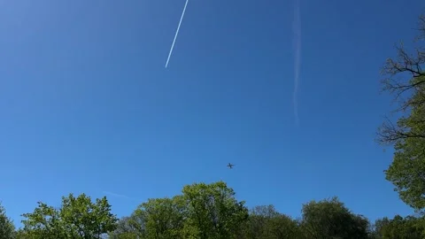 Aircraft flying over Amsterdam Forest park near Schiphol Airport, Netherlands Video stock 342760004
