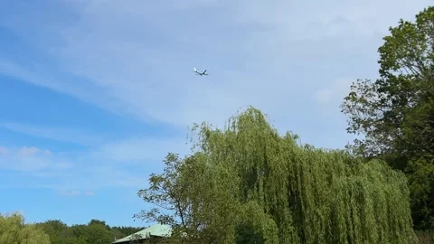 Aircraft flying over Amsterdam Forest park near Schiphol Airport, Netherlands Stock-Footage 342760445