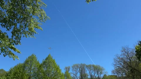Aircraft flying over Amsterdam Forest park near Schiphol Airport, Netherlands 動画素材 342760902