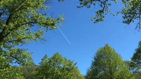 Aircraft flying over Amsterdam Forest park near Schiphol Airport, Netherlands Stock-Footage 342762003