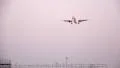 Aircraft landing HD Footage
