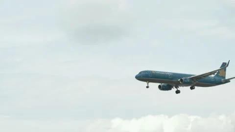 Aircraft landing Stockbeeldmateriaal 141733261