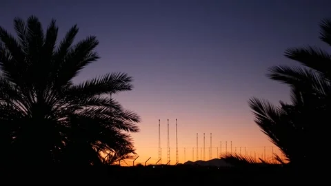 Aircraft taking off over palm trees and nice sunset with Audio Stock Footage 168054959