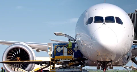 Aircraft Unloading Cargo 動画素材 91329132