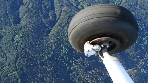 Aircraft wheel over forest Stock Footage 77052998