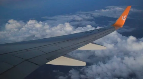 Aircraft wing Stock Footage 40501637