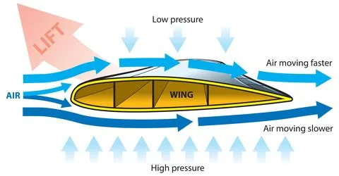 Aircraft wing Stock Illustration