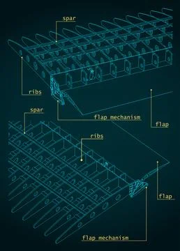 Aircraft Wing Structure and Flaps Systems Drawings Illustrazione stock