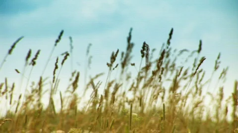 Airdrome 003 Stock Footage 303598