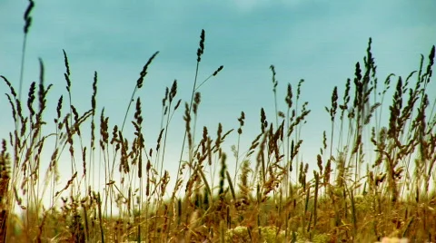 Airdrome 005 스톡 동영상 303683