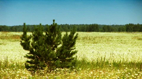 Airdrome 006 Stock Footage 303638