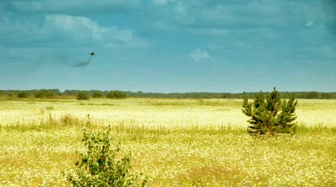 Airdrome 007 Stock-Footage 303642