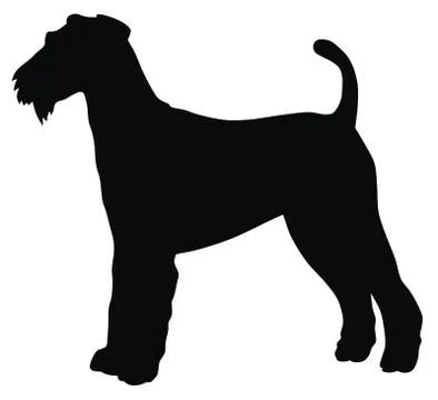 Airedale terrier Stock Illustration