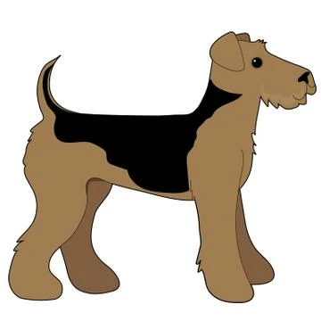 Airedale Terrier Stock Illustration