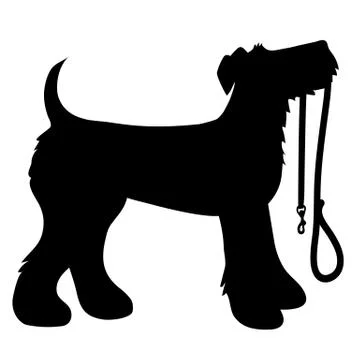 AIredale Terrier Leash Stock Illustration