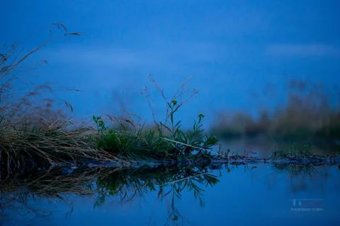 Airfield puddle Stock Photos