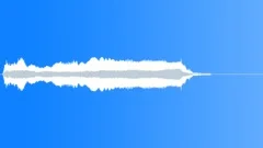 AIRHORN LARGE BLAST LONG05Sound Effect