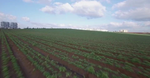 Airial exposig fields Video stock 82469461