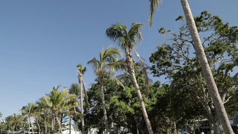 Airlie Beach Stock Footage 91955579