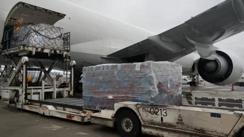 Airline, cargo offloading operation Stock Photos