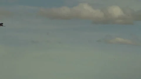 Airliner in Cloudy Sky Vidéo 12727255