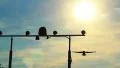 Airliner lands flying above camera, landing light posts, daytime HD Footage